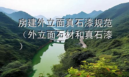 房建外立面真石漆规范（外立面石材和真石漆）
