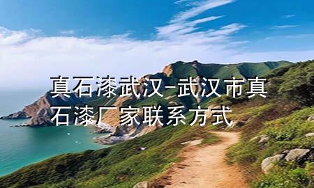 真石漆 武汉-武汉市真石漆厂家联系方式