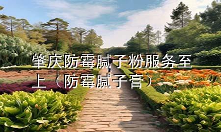 肇庆防霉腻子粉服务至上（防霉腻子膏）