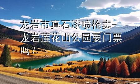龙岩市真石漆喷枪卖-龙岩莲花山公园要门票吗？