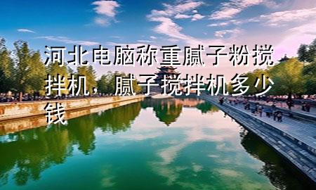 河北电脑称重腻子粉搅拌机，腻子搅拌机多少钱