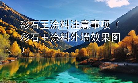 彩石王涂料注意事项（彩石王涂料外墙效果图）