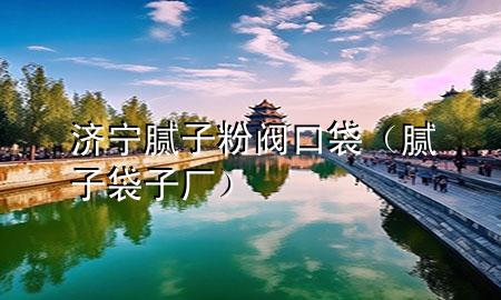 济宁腻子粉阀口袋（腻子袋子厂）