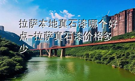 拉萨本地真石漆哪个好点-拉萨真石漆价格多少