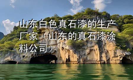 山东白色真石漆的生产厂家（山东的真石漆涂料公司）
