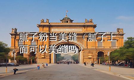 腻子粉当美缝（腻子上面可以美缝吗）
