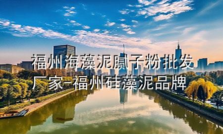 福州海藻泥腻子粉批发厂家-福州硅藻泥品牌