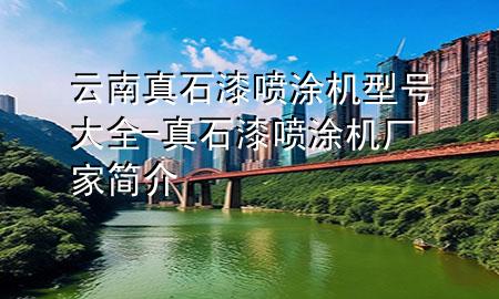 云南真石漆喷涂机型号大全-真石漆喷涂机厂家简介