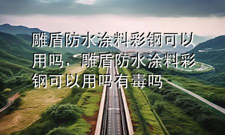 雕盾防水涂料彩钢可以用吗，雕盾防水涂料彩钢可以用吗有毒吗