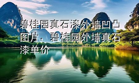 碧桂园真石漆外墙凹凸图片，碧桂园外墙真石漆单价