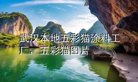 武汉本地五彩猫涂料工厂，五彩猫图片