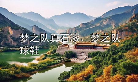 梦之队真石漆，梦之队球鞋