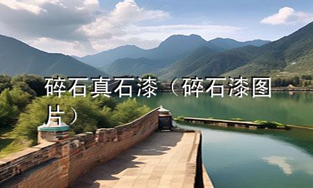 碎石真石漆（碎石漆图片）