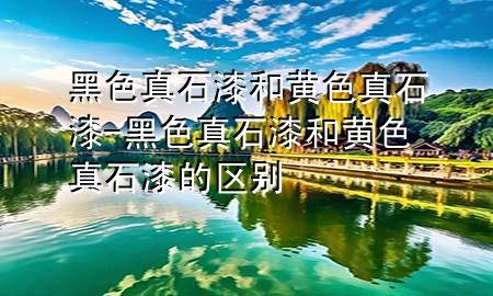 黑色真石漆和黄色真石漆-黑色真石漆和黄色真石漆的区别