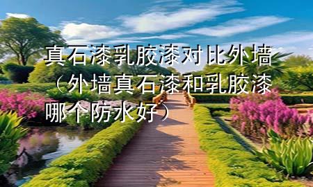 真石漆乳胶漆对比外墙（外墙真石漆和乳胶漆哪个防水好）