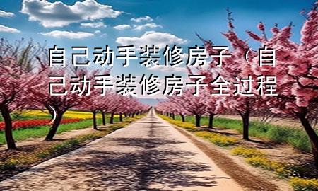 自己动手装修房子（自己动手装修房子全过程）