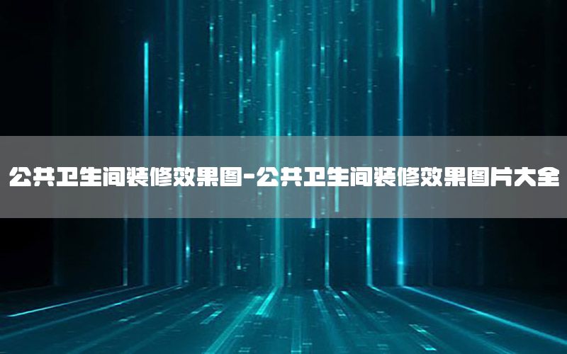 公共卫生间装修效果图-公共卫生间装修效果图片大全